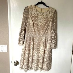 Eliza J Tan and cream lace dress. Three quarter length bell sleeves.